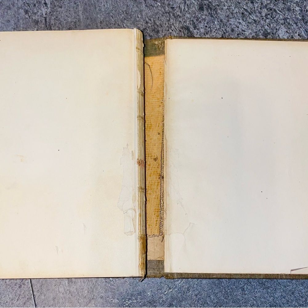 Antique Alice Cary's Poems Book Hurst and Co  Pub NY 1800s poetry hardback - Picture 6 of 7